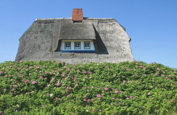 Immobilienmarkt 24/25 - Rückblick & Ausblick